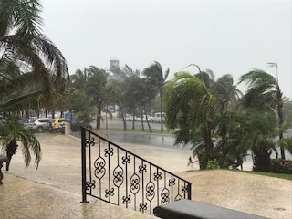 b0193757_11092881.jpg