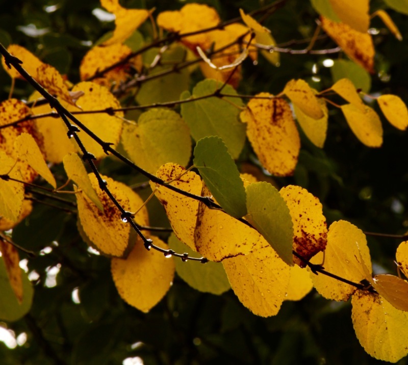 a0248459_13431995.jpg