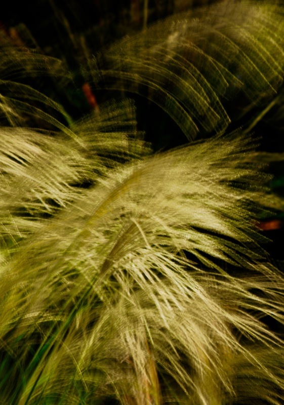 a0248459_13464392.jpg