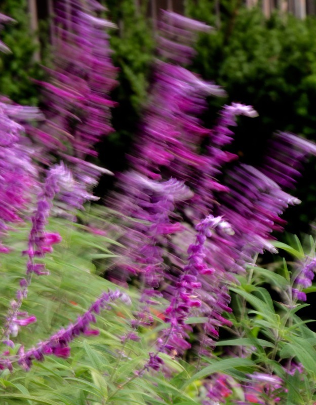 a0248459_13494822.jpg