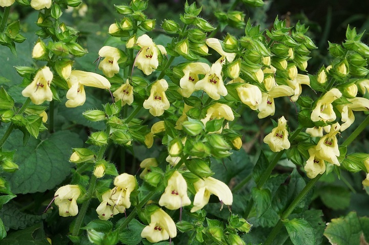 c0248473_16382950.jpg