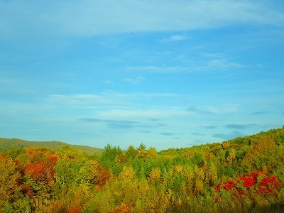 b0052375_09360500.jpg