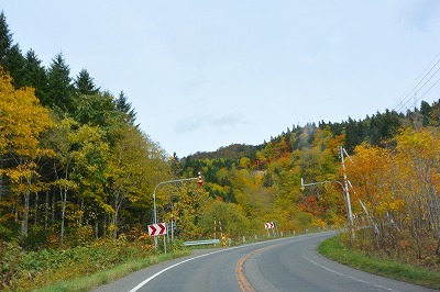 b0052375_10160181.jpg