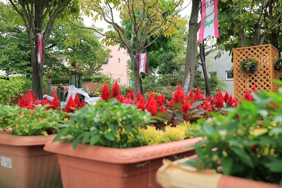 f0377376_20242390.jpg