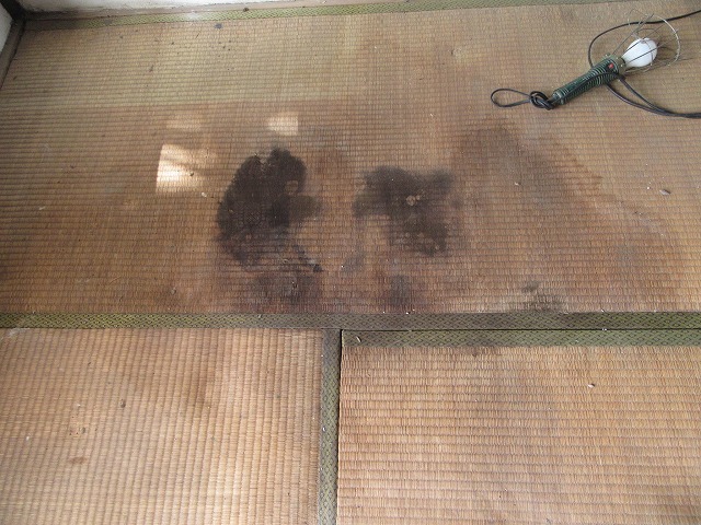 b0003400_09000541.jpg