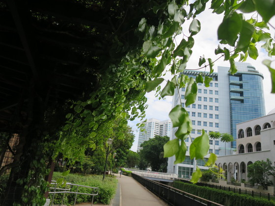 c0212604_632592.jpg