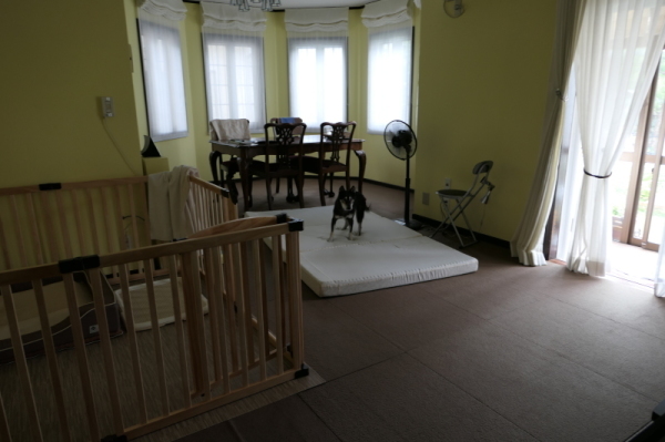 f0369014_17230163.jpg