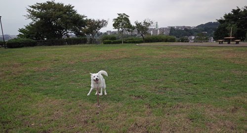 a0117039_19430978.jpg