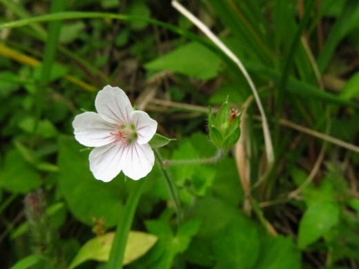 a0018655_14342538.jpg