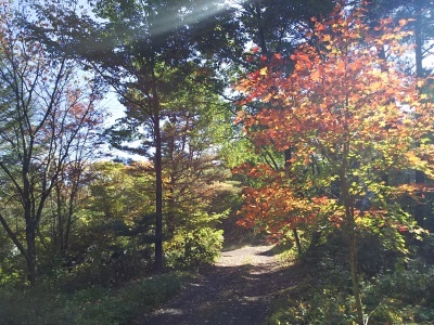 f0364455_17564939.jpg