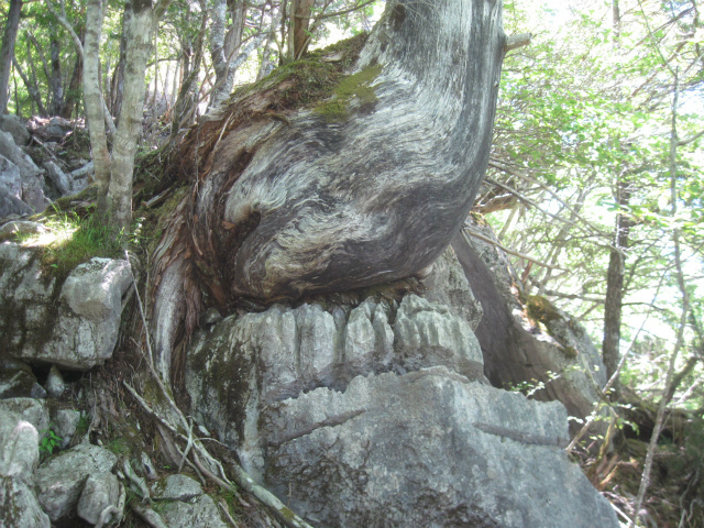 c0219866_17203418.jpg