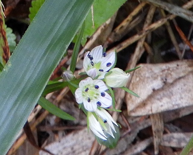 f0378979_05431159.jpg