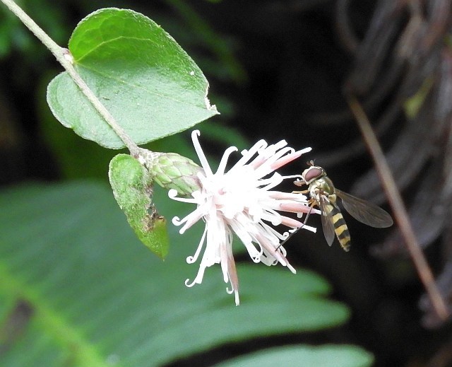 f0378979_05491228.jpg