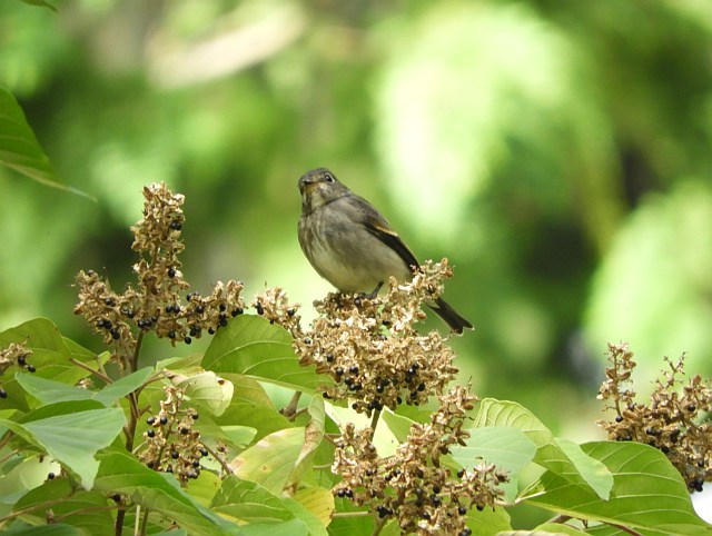 f0378979_09132548.jpg