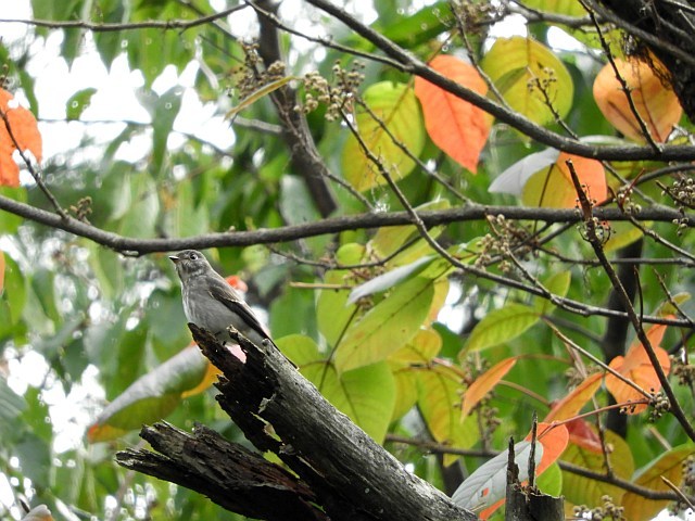 f0378979_09145659.jpg