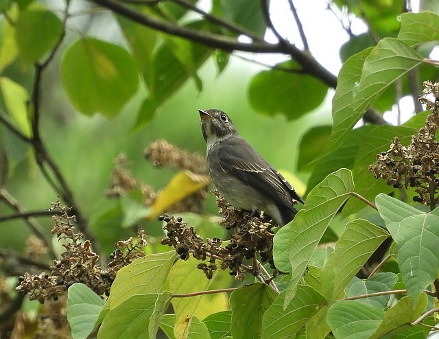 f0378979_09161511.jpg