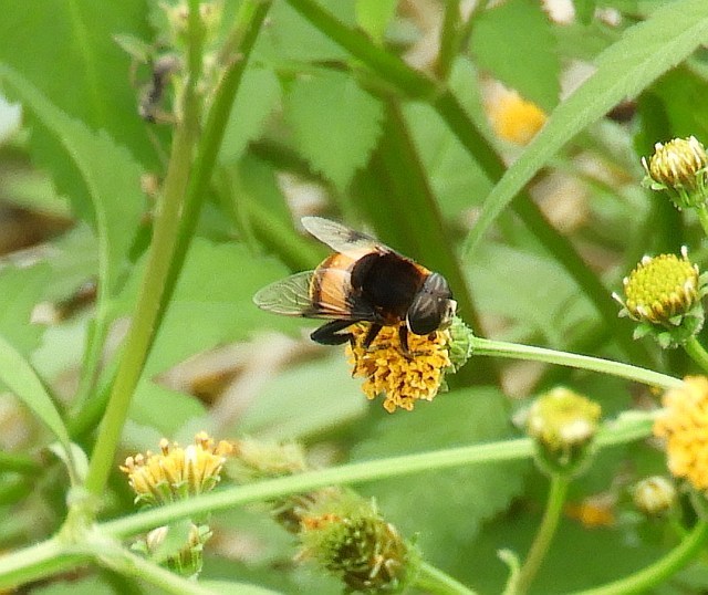 f0378979_19360860.jpg