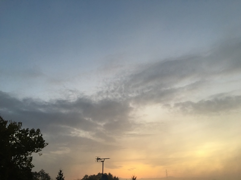 d0355681_22132921.jpeg