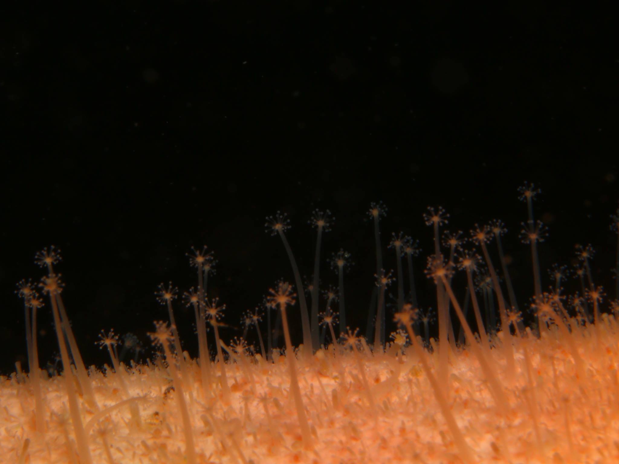 f0151886_17222346.jpg