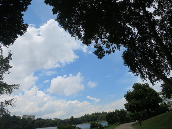 c0212604_22185394.jpg