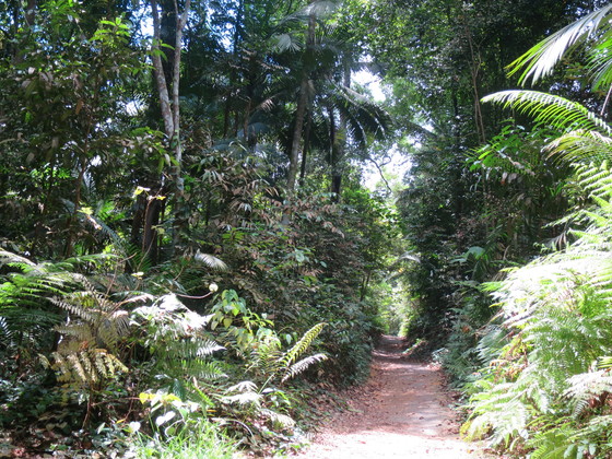 c0212604_2241217.jpg