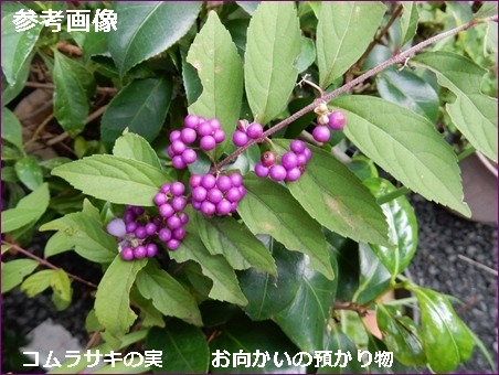 e0033229_1824167.jpg