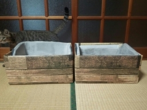 b0059860_16281117.jpg