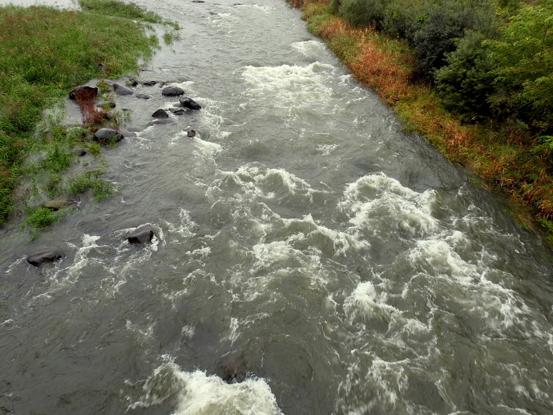 c0305565_17443839.jpg