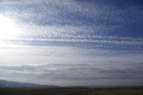 c0337494_16043632.jpg