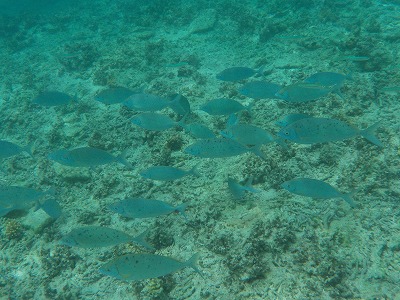 d0074596_21472126.jpg