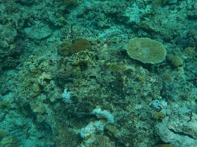 d0074596_21474567.jpg