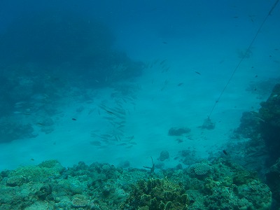 d0074596_21555128.jpg