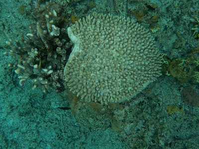 d0074596_2157124.jpg