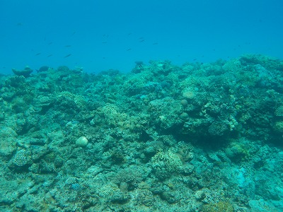 d0074596_2201699.jpg