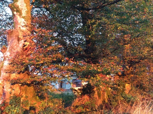 b0110999_19292095.jpg