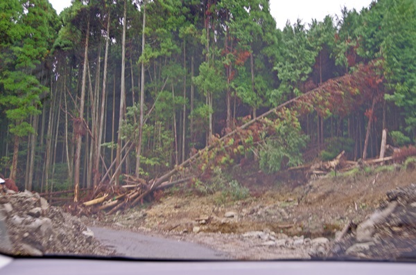 b0312736_20452502.jpg