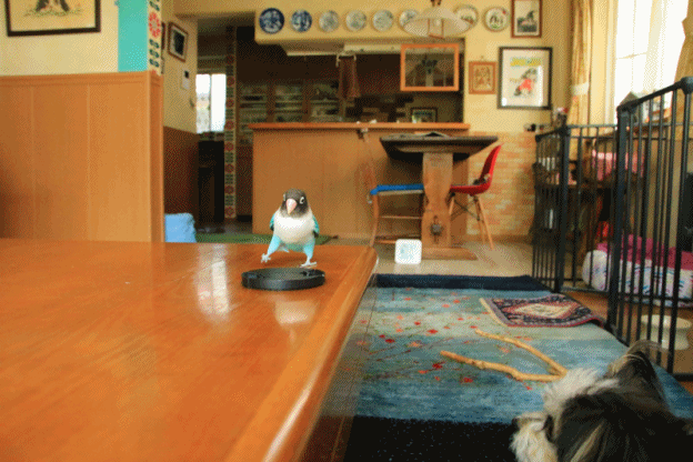 c0145250_14102270.gif