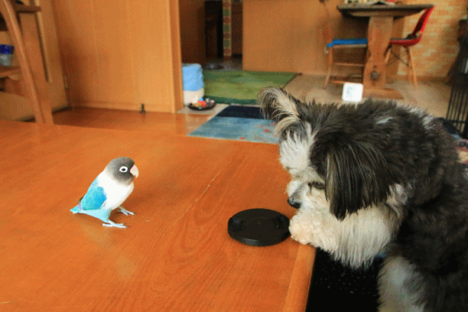 c0145250_14103929.gif