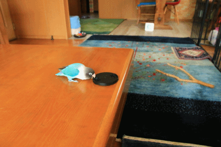 c0145250_14104272.gif