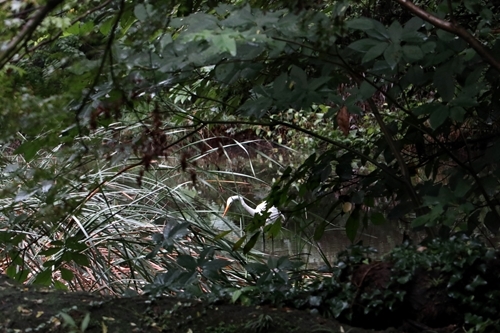 f0164450_23203868.jpg