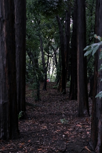f0164450_23210017.jpg