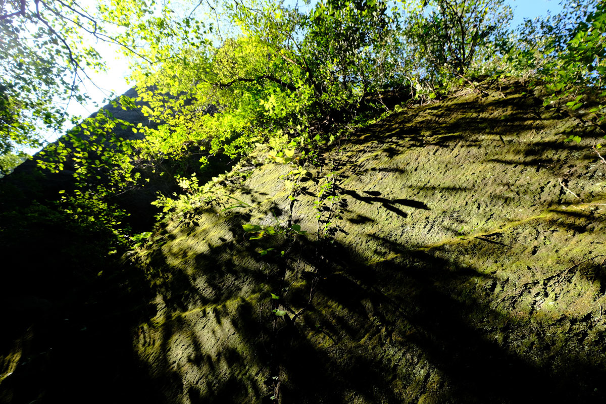c0084666_15154524.jpg