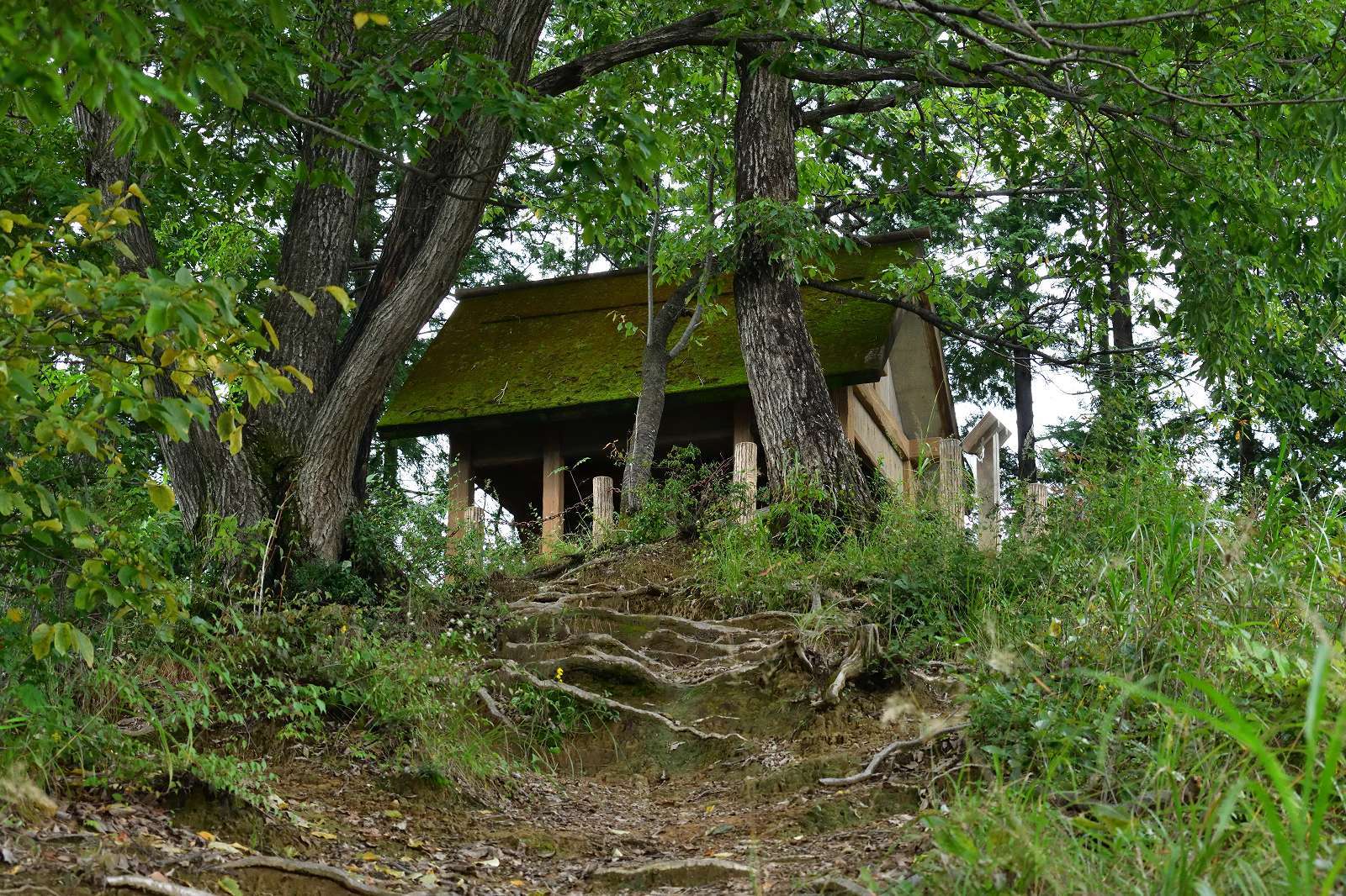 d0328977_10015795.jpg