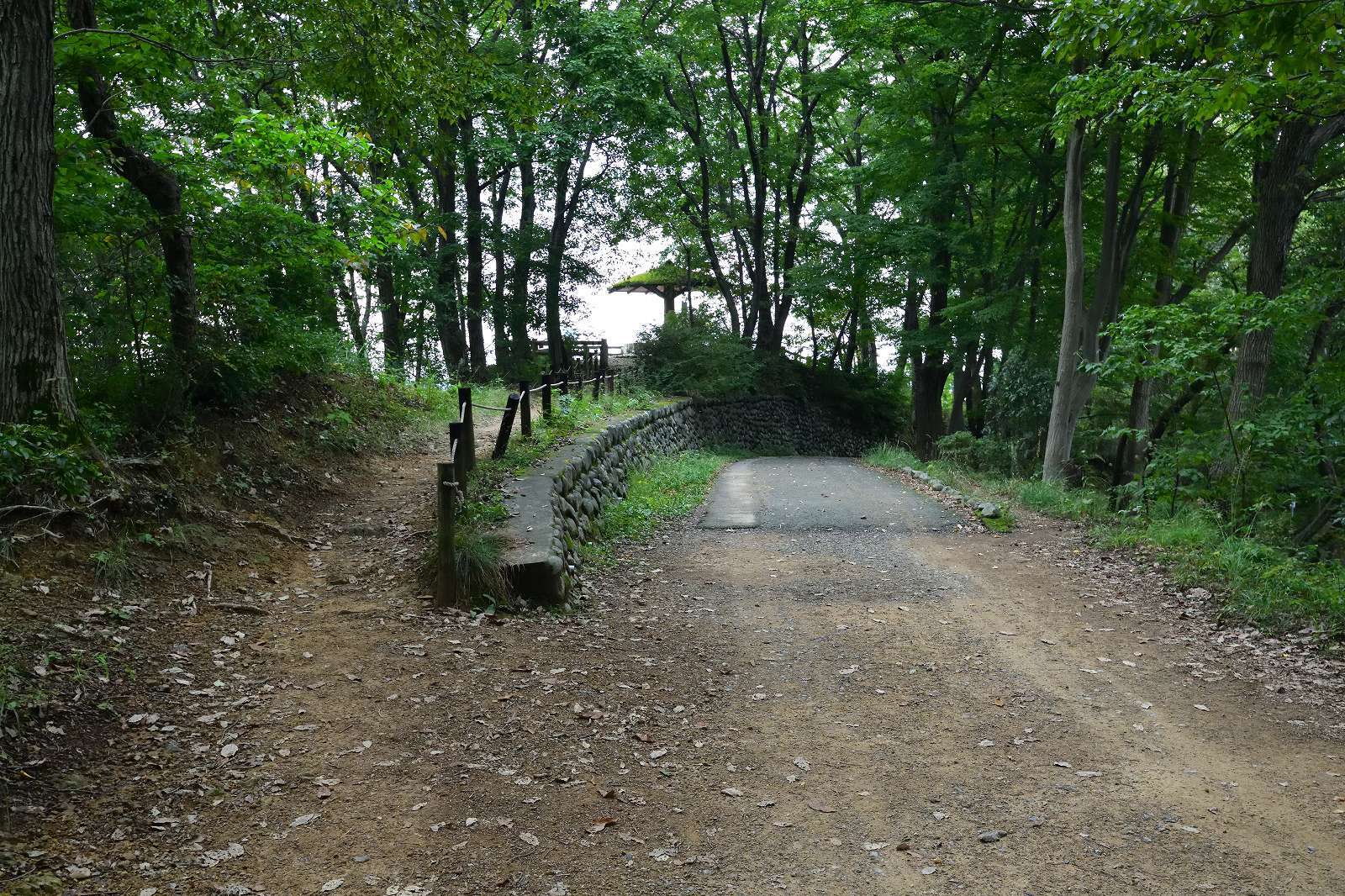 d0328977_10022218.jpg