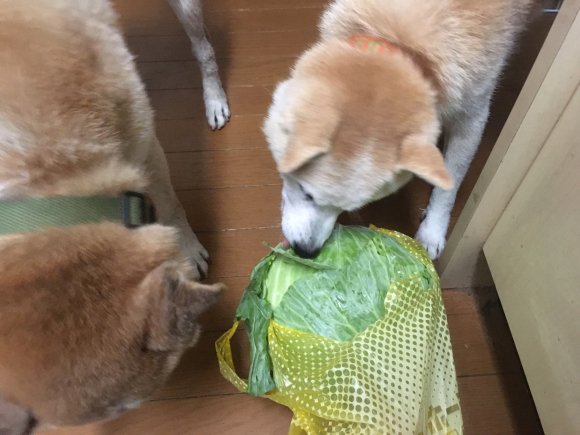 c0123890_20134110.jpg