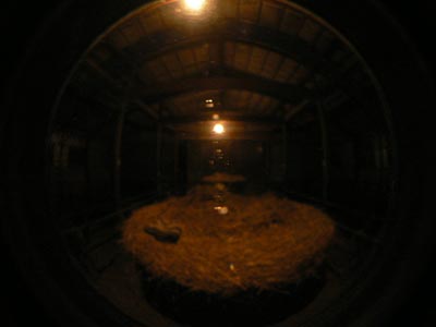 b0156608_651564.jpg
