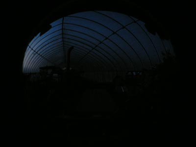 b0156608_6522547.jpg