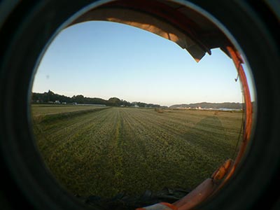 b0156608_653374.jpg