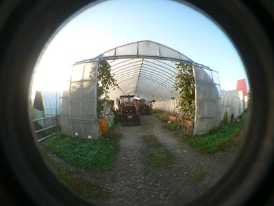 b0156608_6533810.jpg