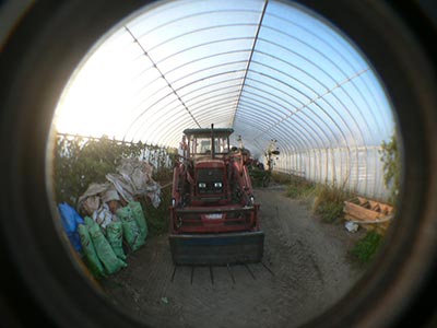 b0156608_6534655.jpg